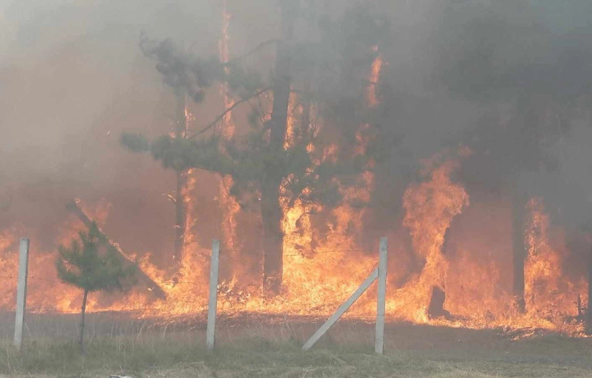 Zjarr në Pakashticë të Podujevës