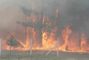 Zjarr në Pakashticë të Podujevës