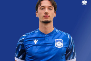 Elmando Gjini