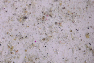 Mikroplastika