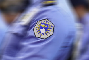 policia - raporti - logo policia - kronika