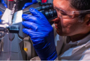 Ayala-Orozco, autor i studimit që u bë në Univcersitetin Rice në Houston, SHBA