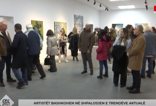 Asociacioni i Artistëve Vizual të Kosovës