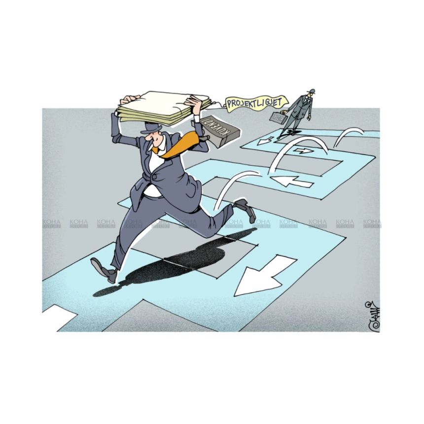 Miratimi express i ligjeve - Karikatura e dites - news cartoon