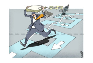 Miratimi express i ligjeve - Karikatura e dites - news cartoon