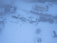Brezovica