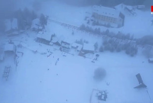 Brezovica