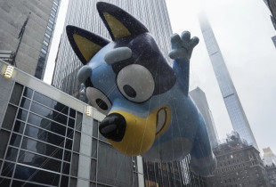 Bluey