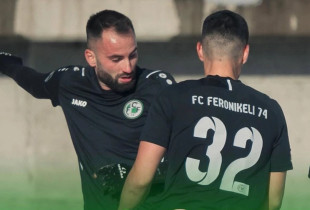 Feronikeli 74