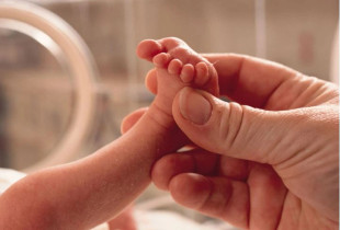 bebet e të fashmëve të Hollywoodit