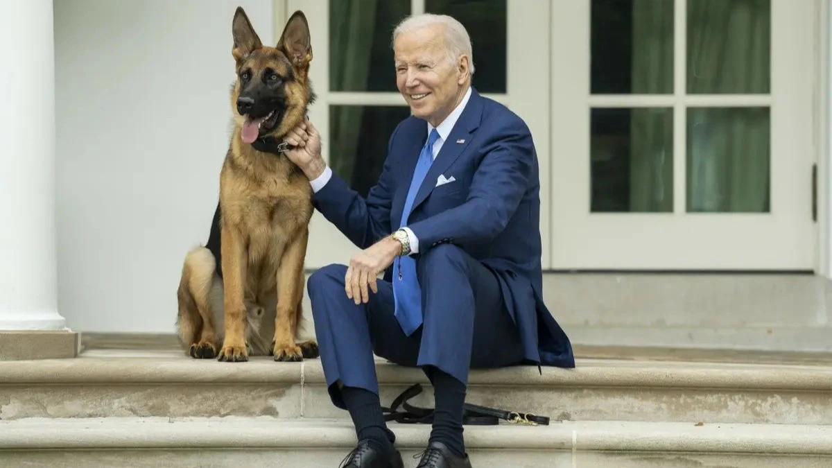 Qeni i Bidenit ka kafshuar të paktën 24 herë agjentët e shërbimit sekret