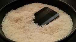 Apple: Nasse iPhones nicht in Reis legen“