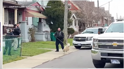 Policia kap delen që shëtiste nëpër një lagje në New York