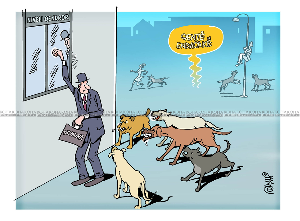 Karikatura e ditës - 21 janar 2024