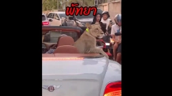 Luani bën xhiro në Bentley rrugëve të Tajlandës