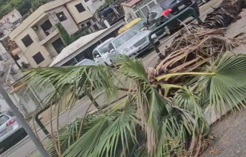 Stuhi në Mal të Zi