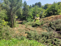 prerja e pishave - Velani