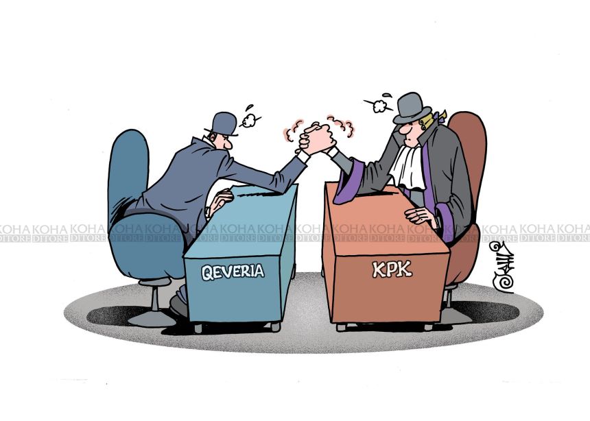Karikatura e ditës