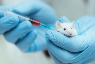 Ilaçi kundër plakjes