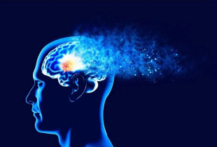 Dhjami i tepërt, shkaktar i sëmundjeve neurodegjenerative