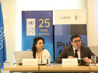 UNDP - Pulsi Publik 2024