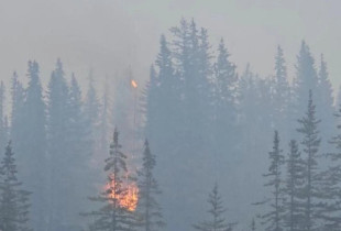Jasper, Kanada