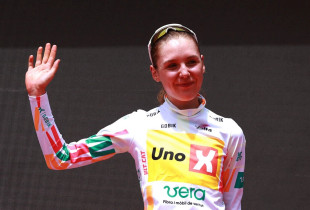 Solbjork Minke Anderson