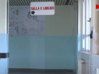 Cosmo - Gjineokologjia