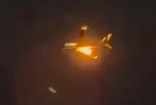 Aeroplani bën ulje urgjente, përplas turmën e zogjve