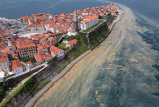Pamje të pabesueshme të detit pasi Sllovenia goditet nga një stuhi e fortë