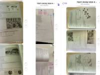 Testi i Arritshmërisë