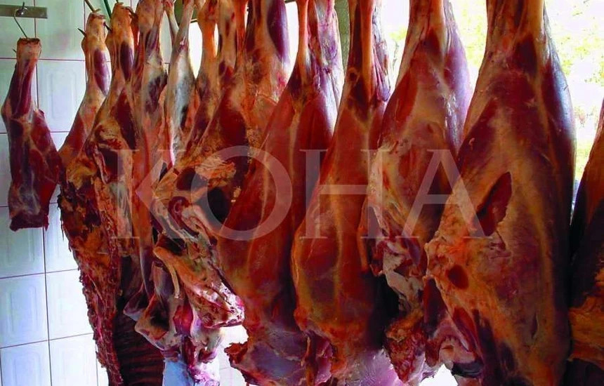 Foto ilustrim / KOHA