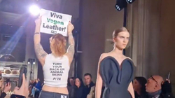 Victoria Beckham's show is interrupted by animal activists
