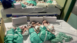 Mungesë e inkubatorëve në spitalin e Rafahut - një për katër foshnja