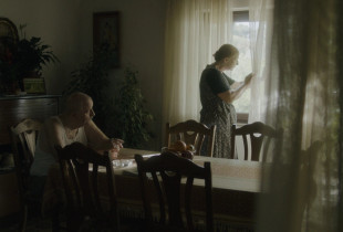 Festivali ndërkombëtar i filmit “FerFilm”