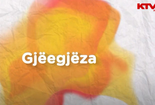 gjegjeza - PFF
