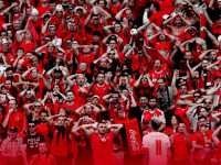 Tifozat kuq e zi tifozet shqiptare