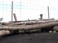 Qymyr druri - Fshati Brus