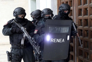 Reparti i Neutralizimit të Elementëve të Armatosur