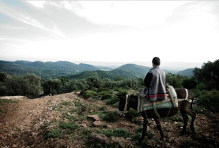 “Virgjëreshat e përbetuara të Shqipërisë”. (Foto: New York Times)