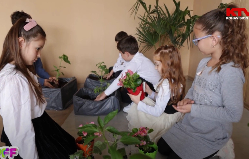 Programi Fluturues i Fëmijëve