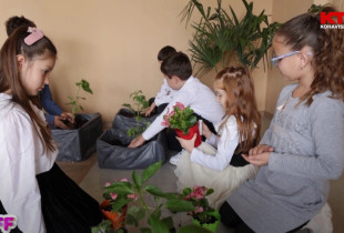 Programi Fluturues i Fëmijëve