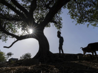 Fermeri Vaibhav Maske dërgon ujë në fermën e tij në Bee, Indi