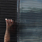 Arrestim Denim Burgim vrasje arrest paraburgim