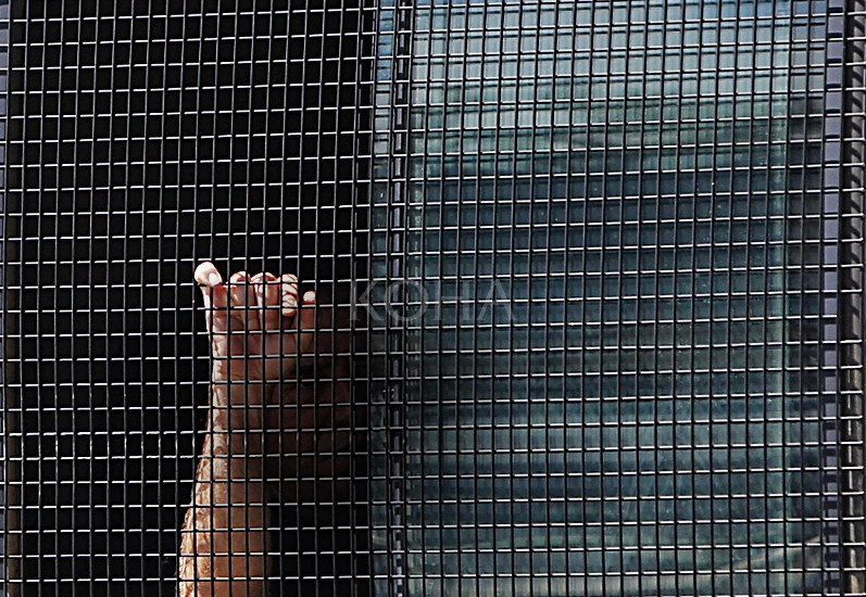 Arrestim Denim Burgim vrasje arrest paraburgim