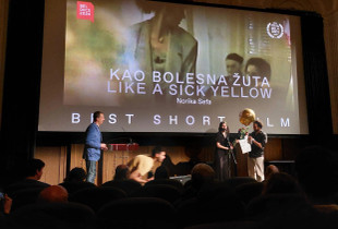 “Si e verdhë e sëmurë” i Norika Sefës ka pasur Beogradin stacion të radhës, ku ka triumfuar në kategorinë e filmave të shkurtër në Festivalin “Beldocs”.