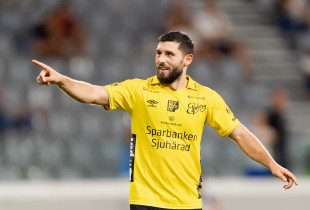 ARber ZEneli