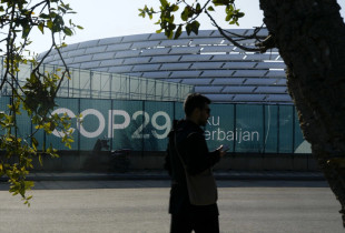 COP29