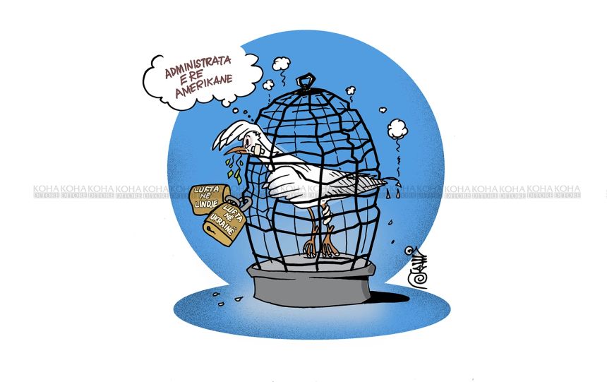 Karikatura e ditës