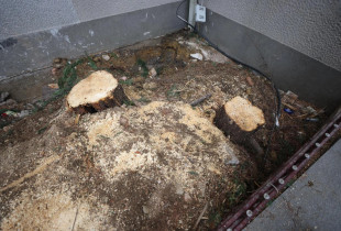 druri, teatri kombëtar